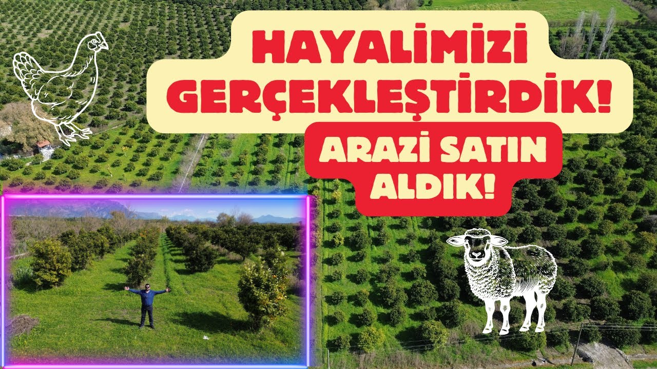 Köyceğiz'de Arazi Satın Aldık | Muğla'da Arazi Fiyatları #bahçe #köyegöç