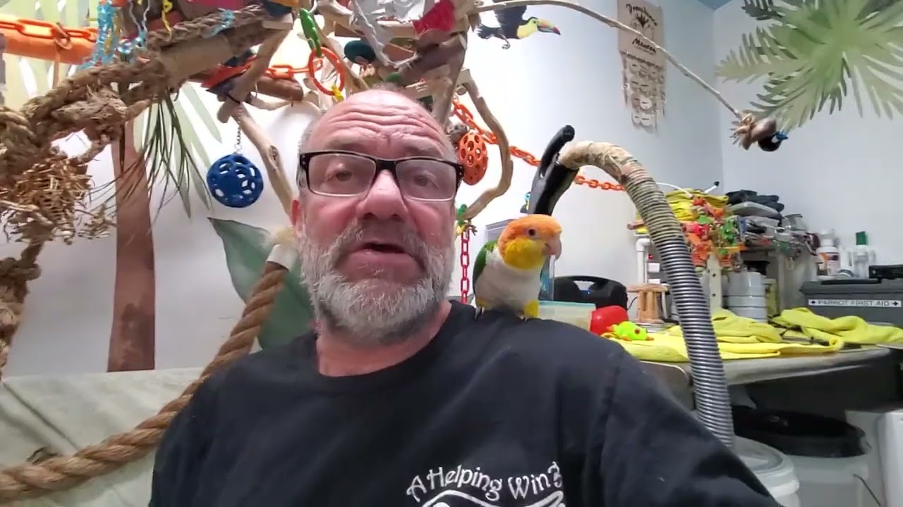 Добро пожаловать обратно на сегодняшнюю вторую перемену 🥰