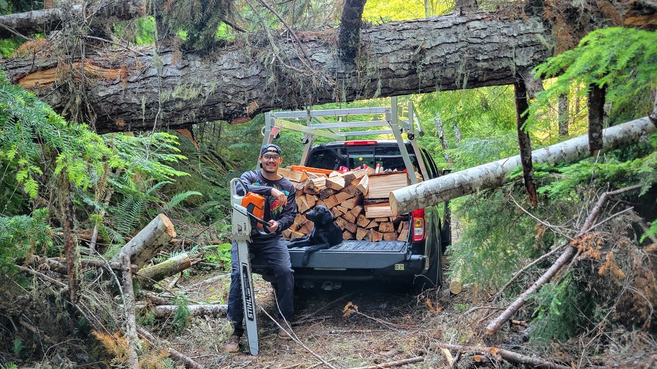 Clearing a Backroad and Hauling Firewood for My Cabin