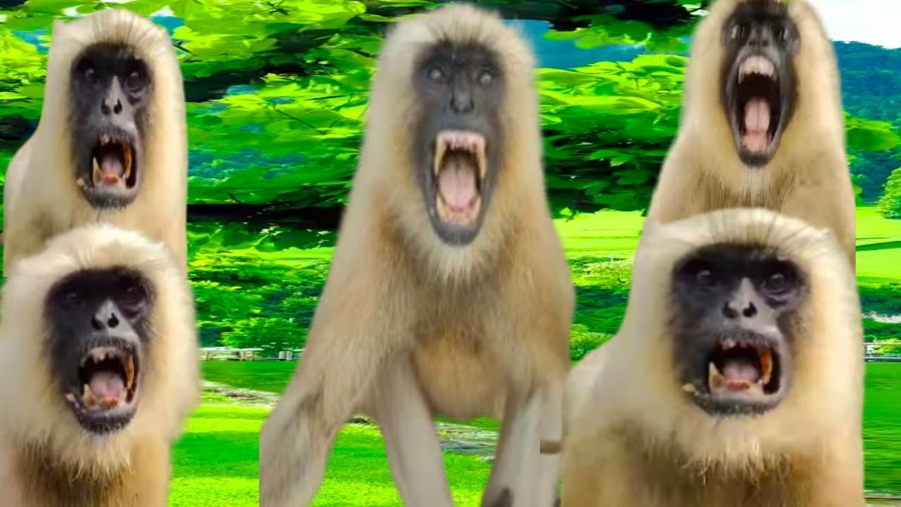 Aakhir Hua Wahi Jo Hona Tha Hanuman Ji