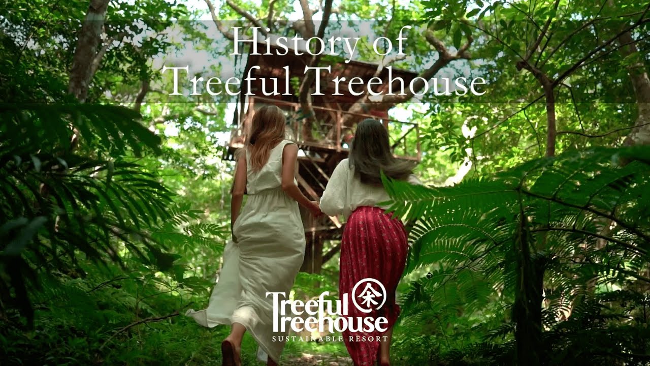 History of Treeful ツリーフルの歴史