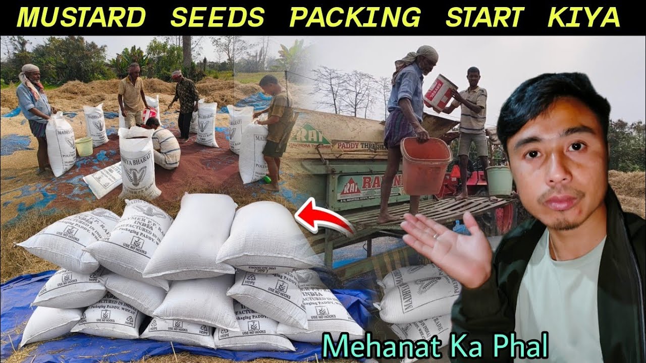 Mustard Seeds Packing Karke Complete Nahi Kar Paya - सरसों पैकिंग करके घर में लाया