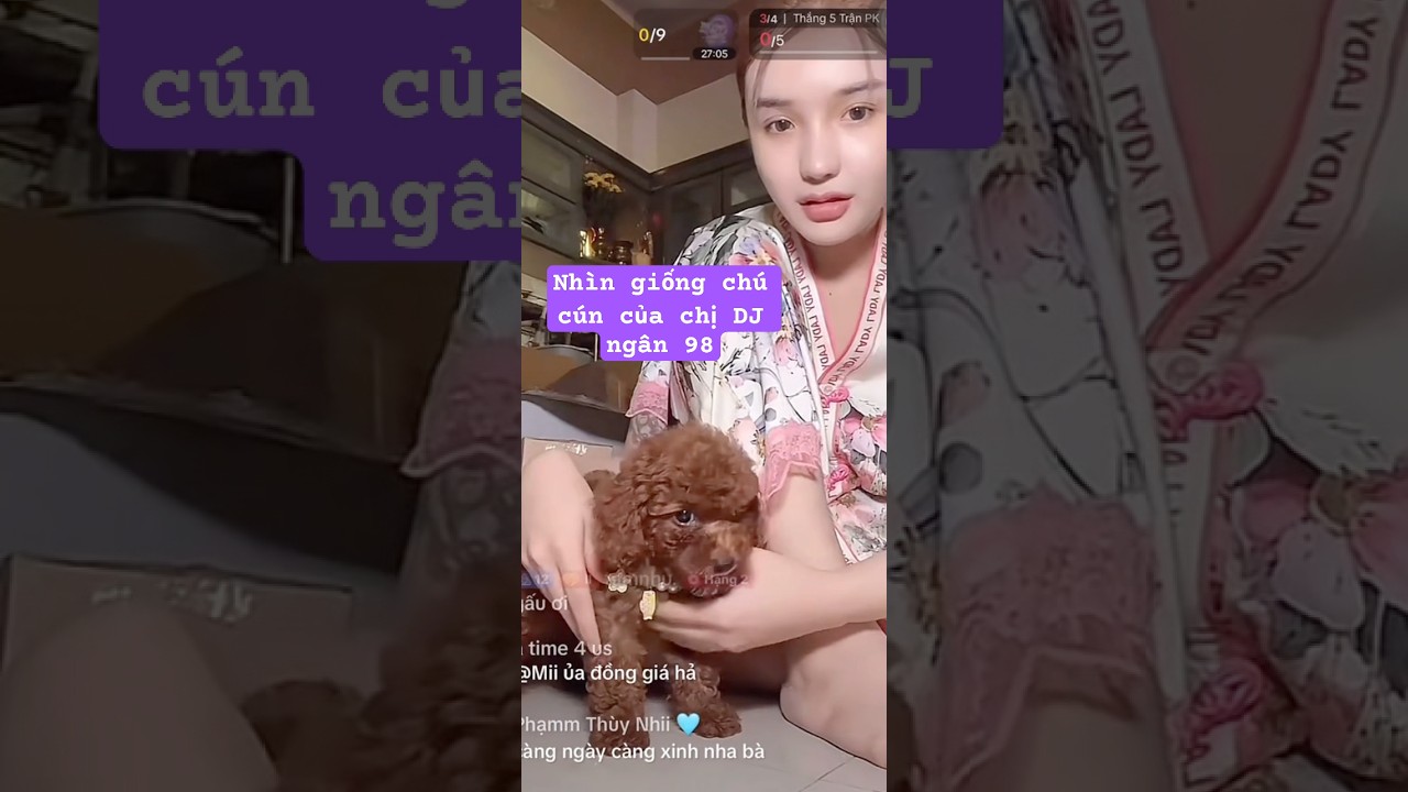 Nhìn giống chú cún của chị DJ ngân 98 