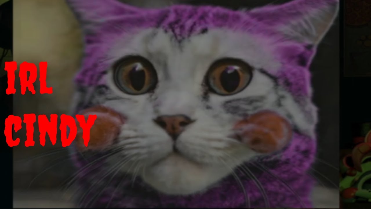 Five Nights at IRL Candy 2 - 5/20 Hard Mode