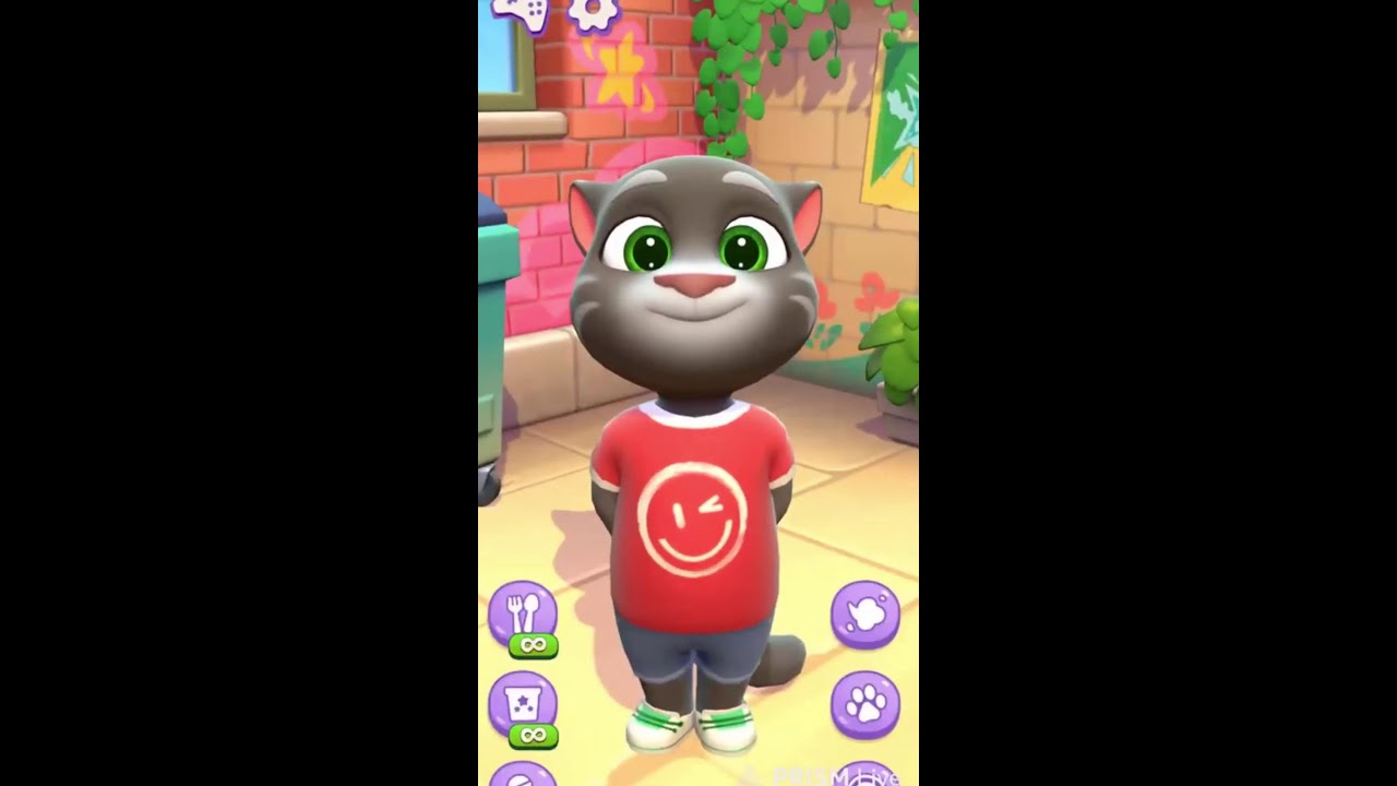 talking tom live fun