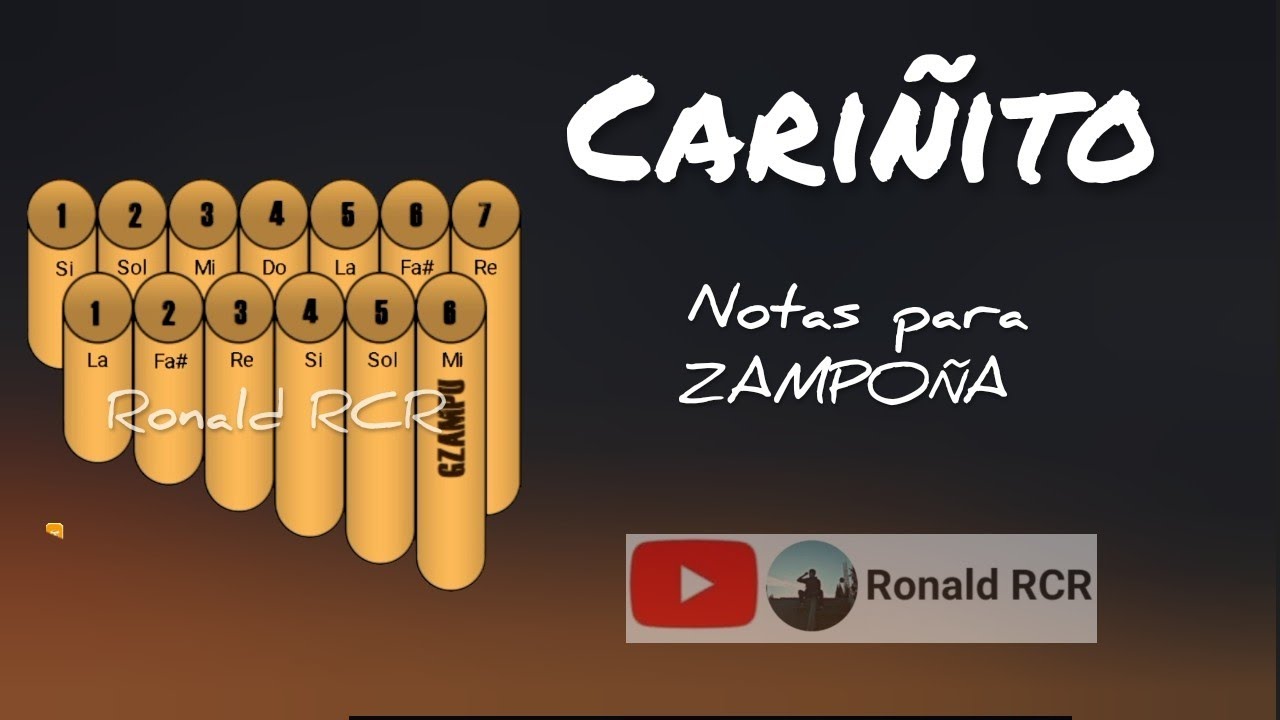 Cari&ntilde;ito ◇ notas para ZAMPO&Ntilde;A
