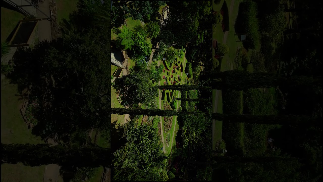 Jardim dos Pinhais - Ecco Parque