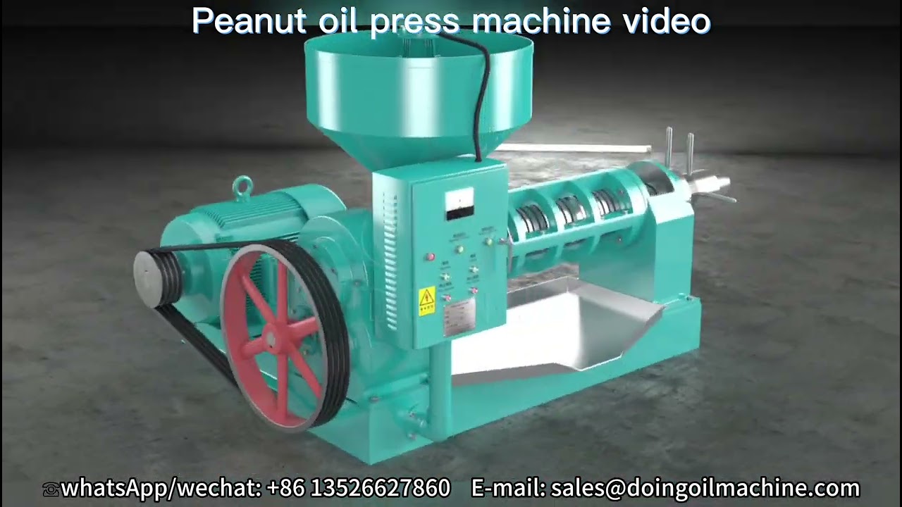 Peanut oil press machine 3D animation video, single screw groundnut oil expeller machine for sale