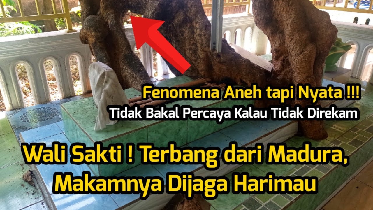 Fenomena Nyata! Wali Sakti! Terbang dari Madura, Makamnya Dijaga Harimau
