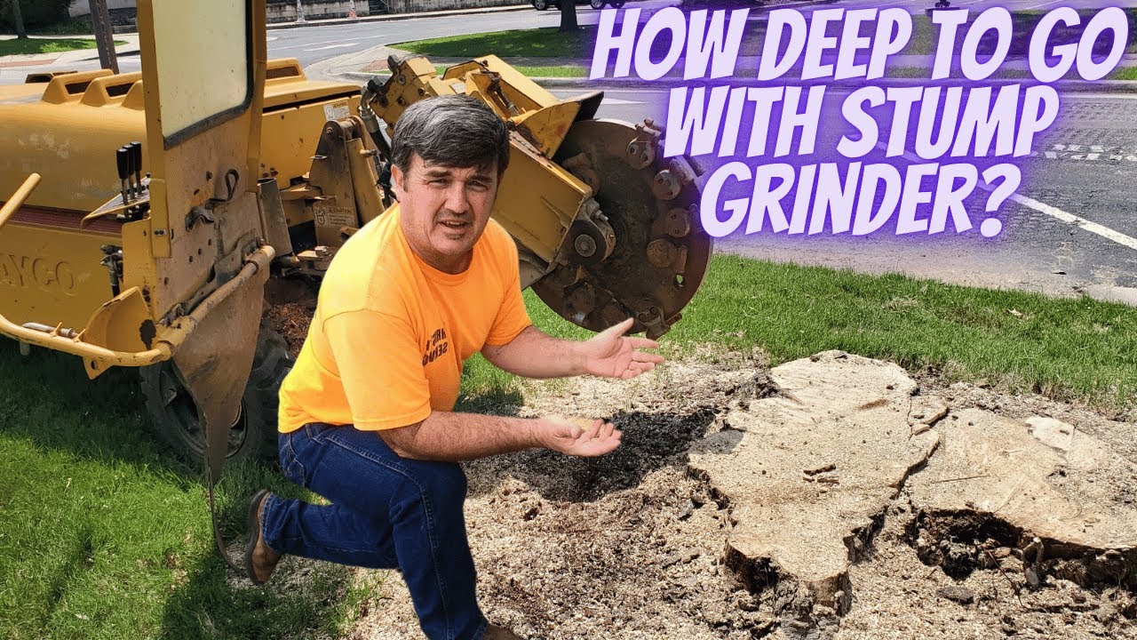 How deep to go with stump grinder?