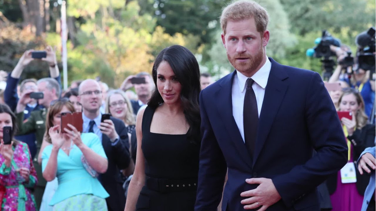 'She's always looking': Meghan's 'ambition' could make Prince Harry 'redundant'