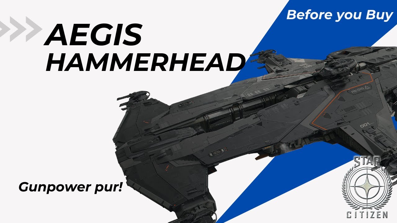STAR CITIZEN | Before you Buy | AEGIS HAMMERHEAD | 3.19