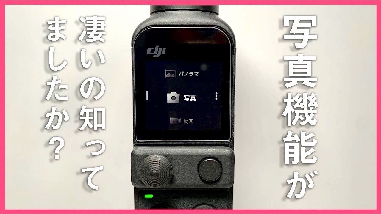 【写真性能】Pocket2！実はスナップ撮影に向いているカメラだった！？動画だけのカメラじゃないこと紹介します。