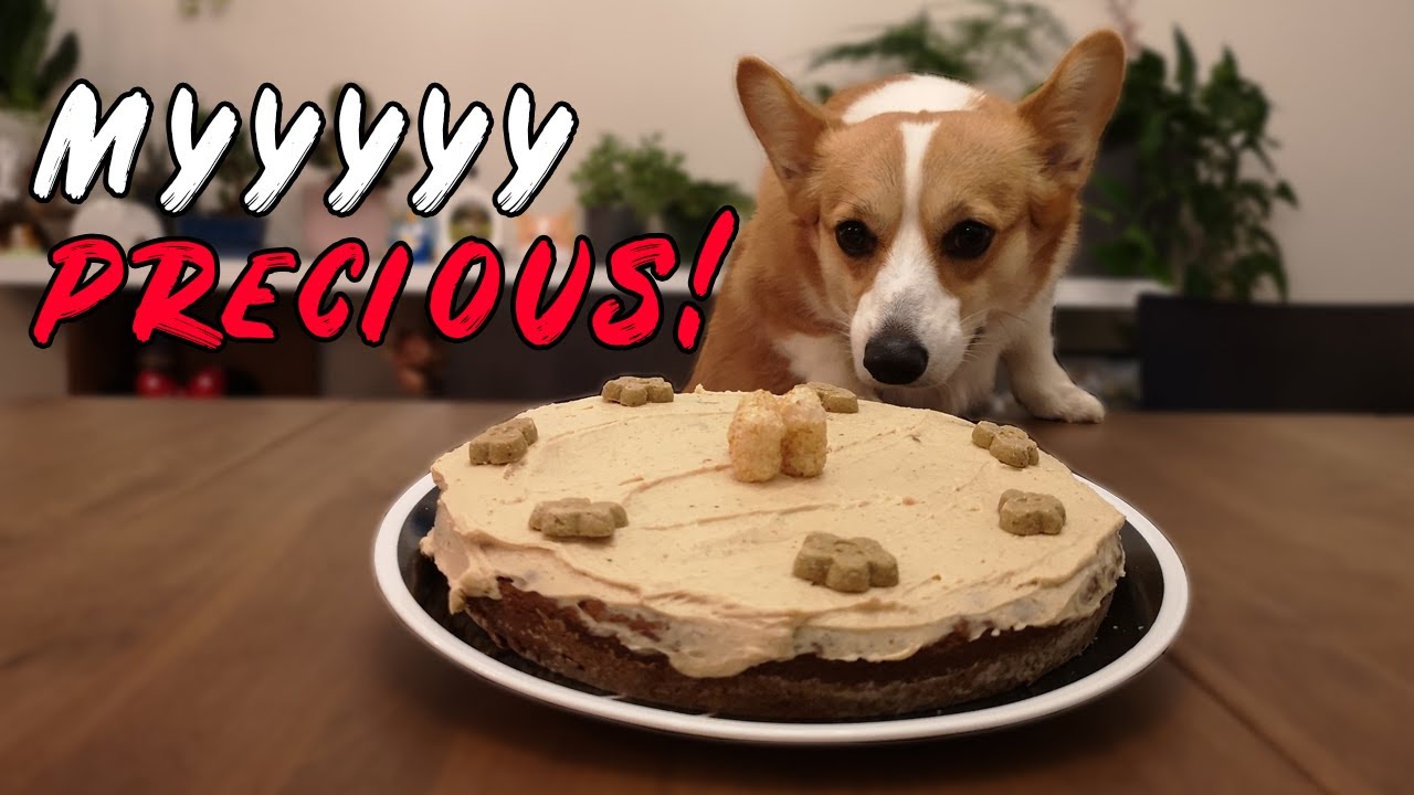 Pumpkin Dog Cake - Super EASY Grain Free Cake for Dogs