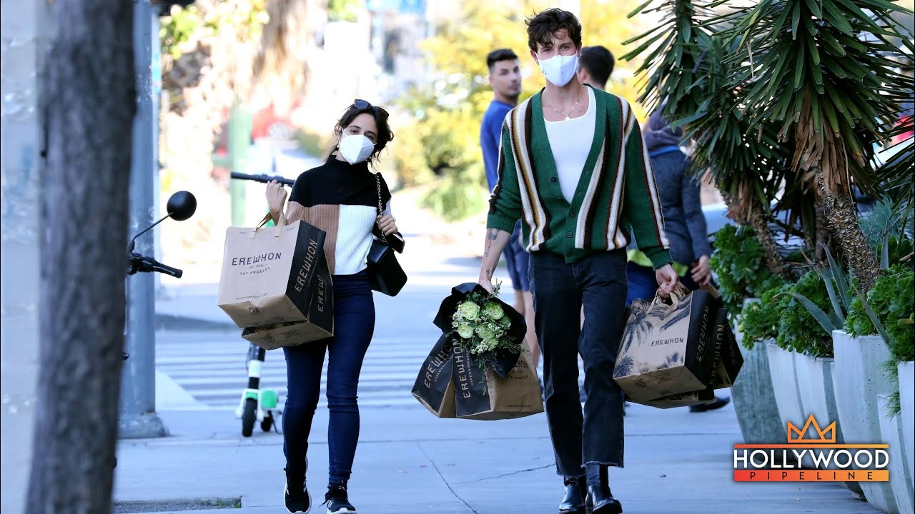 Shawn Mendes and Camila Cabello shop at 