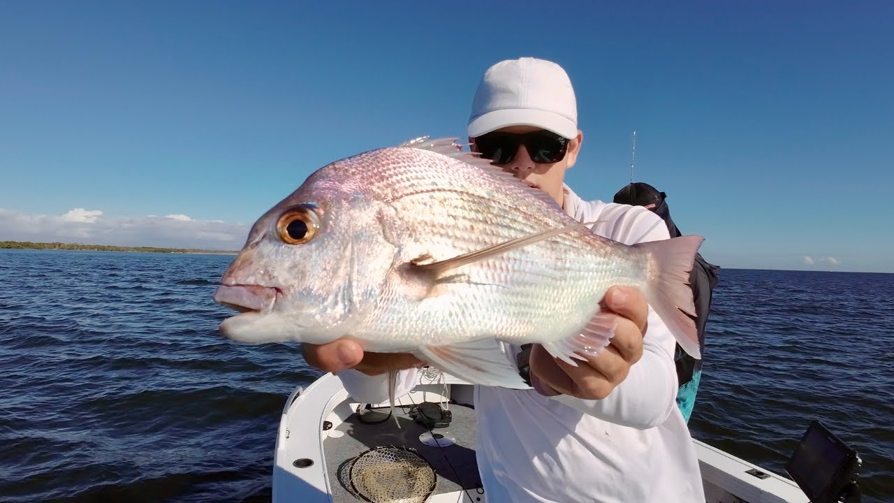 Fishing The Port Of Brisbane And Mud Island - Snapper Jewfish Flathead