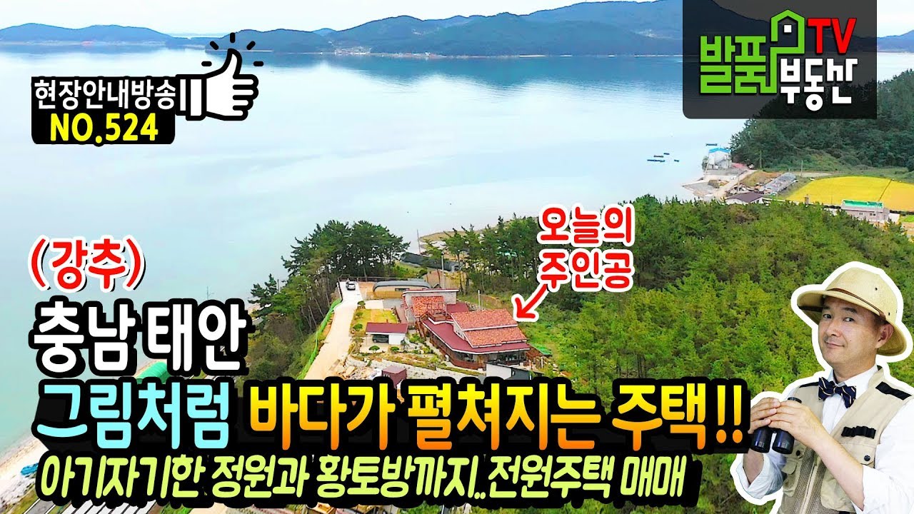 (강추) 그림처럼 바다가 펼쳐지는 주택!! 충남 태안 전원주택 매매 아기자기한 정원과 황토방까지 갖춘 태안부동산 - 발품부동산TV