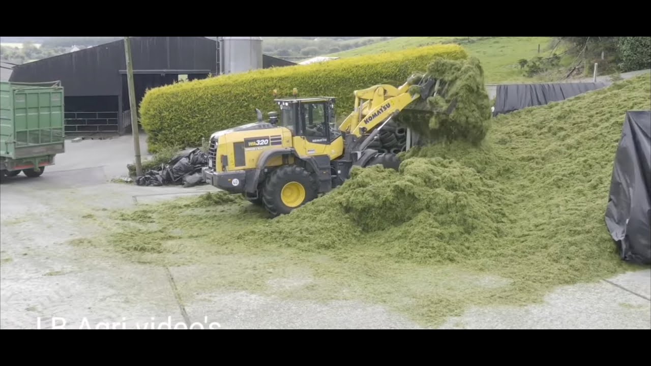 Silage 2020 komatsu WA 320 being pushed to the limit