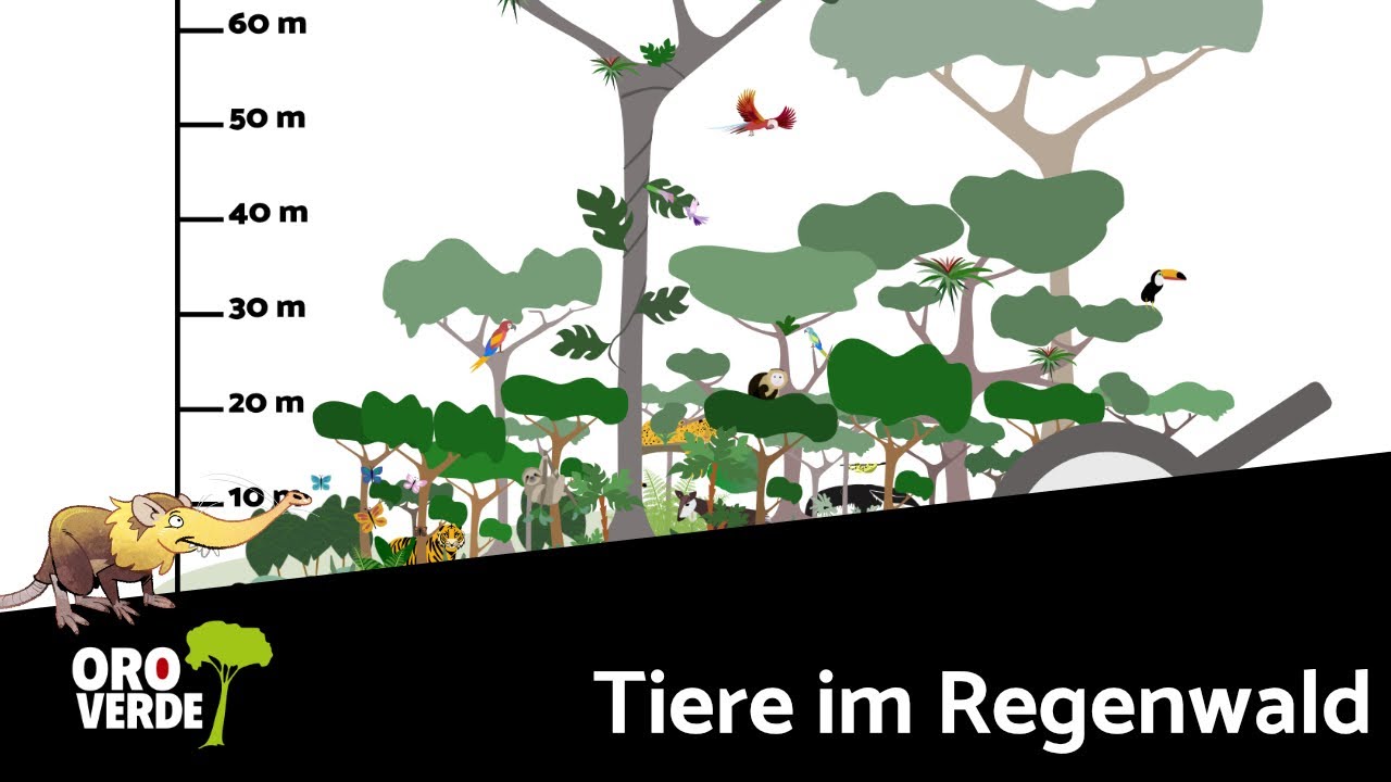 Wer lebt wo?