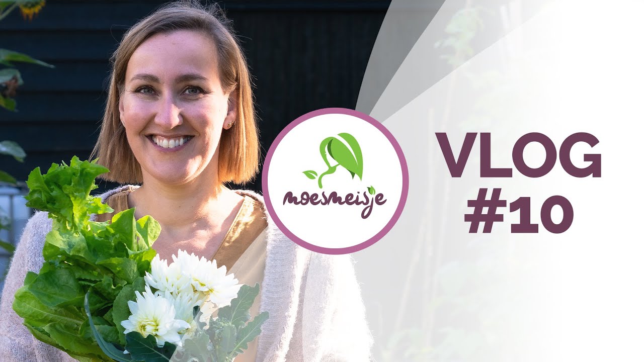MOESTUINVLOG #10 | Moestuin eind oktober/begin november | Moestuin in de herfst