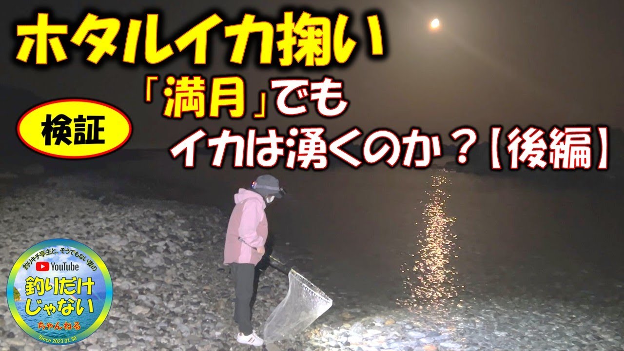 検証【ホタルイカ掬い】満月でもイカは湧くのか？！（後編）、満月率82％、ほぼ満月、月光きらめく夜のチャレンジ！！
