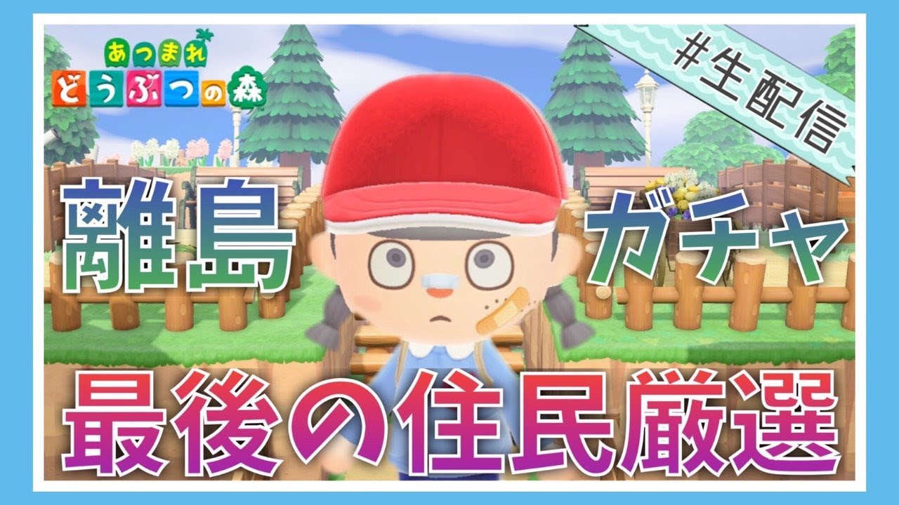 【概要欄チェック】運命の子に出会えるまで離島ガチャ！！【あつまれどうぶつの森】【Animal Crossing】【女性ゲーム実況者】【ゲーム実況】【TAMAchan】