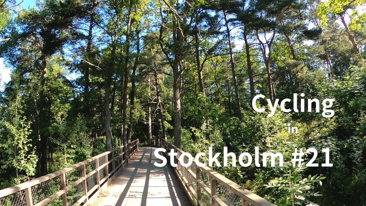 ［北欧］６月、北欧の自然の中をサイクリング⎜サイクリング風景