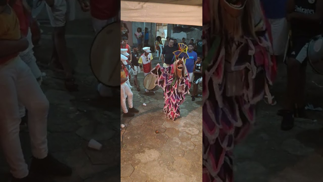 Poeta pinguim de miracema