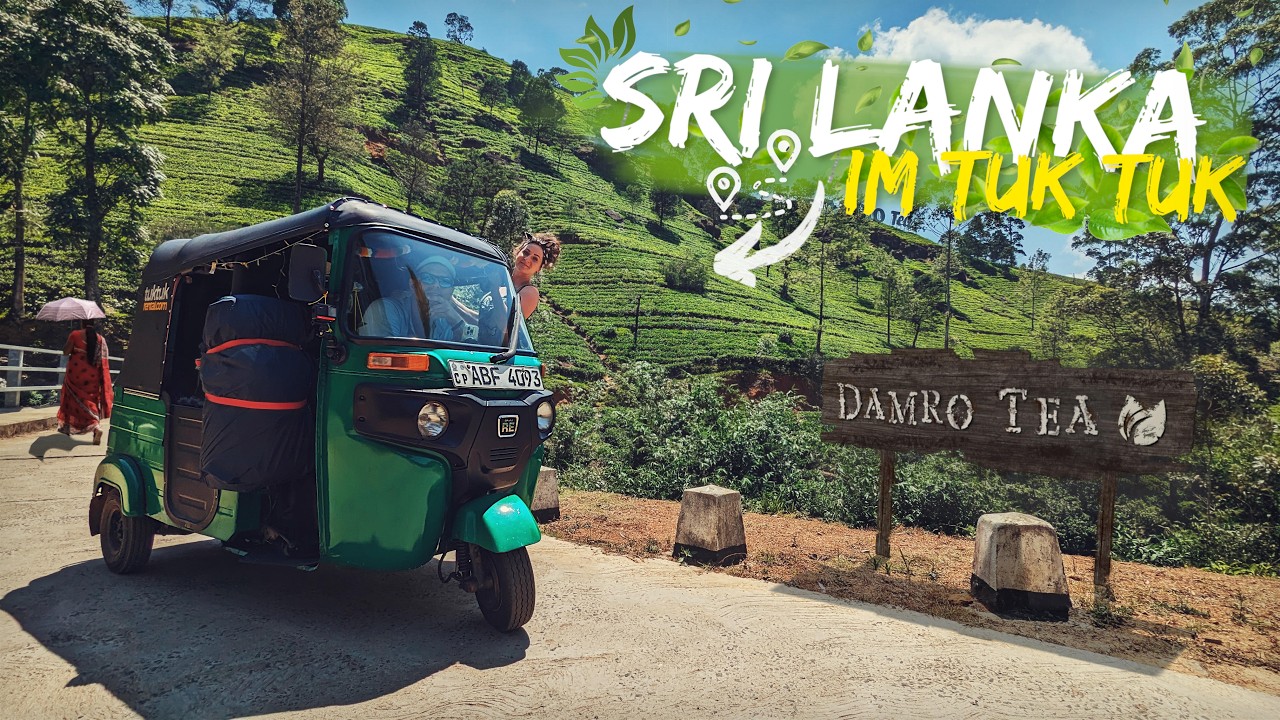 SRI LANKA ROADTRIP - Mit dem Tuk Tuk durch die Teeplantagen von Nuwara Eliya!