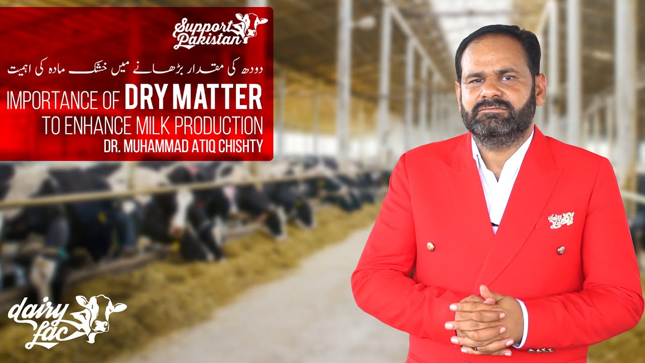 Importance of dry matter to enhance milk production - Dr. Muhammad Atiq Chishty - DairyLac