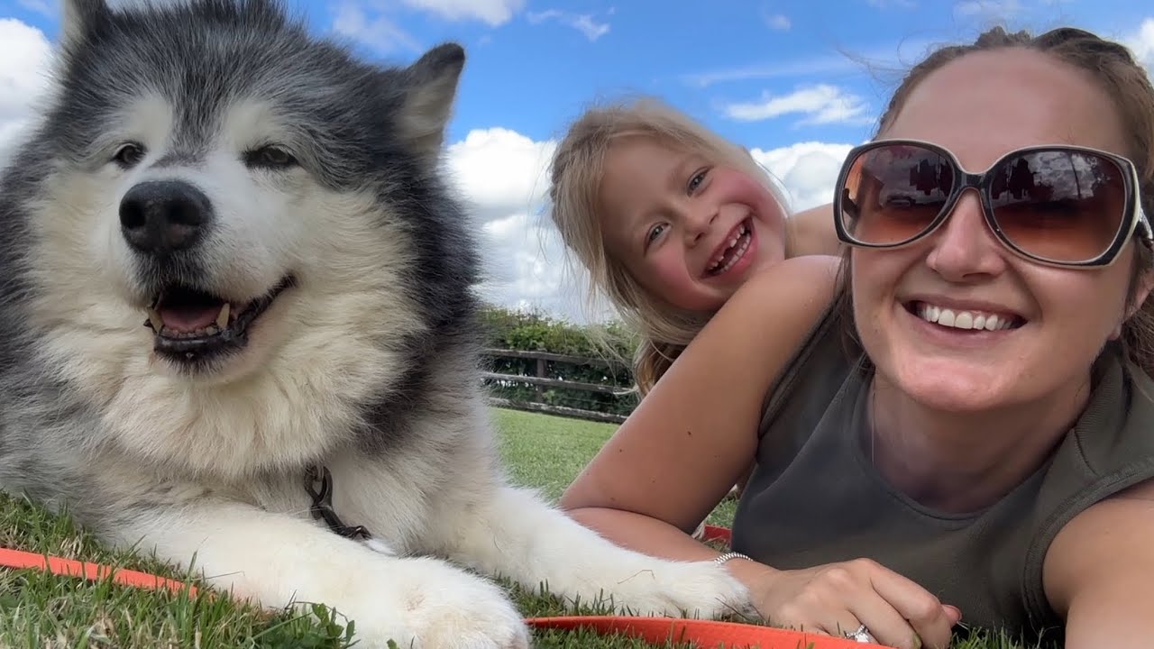 Retired Old Pup Enjoys A Girls Day In The Garden! Happiness!