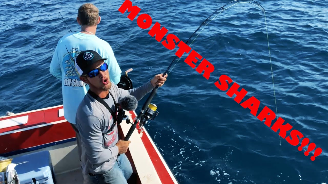 Catching MONSTER Sharks and Red Snapper offshore (offshore redfish) (2020)