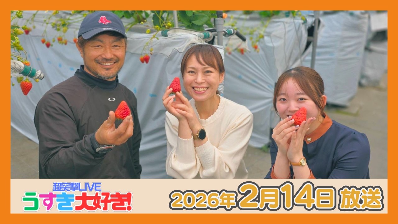 株式会社ヤナイ園芸のいちご情報【超突撃LIVE うすき大好き！】（2026年2月14日放送）