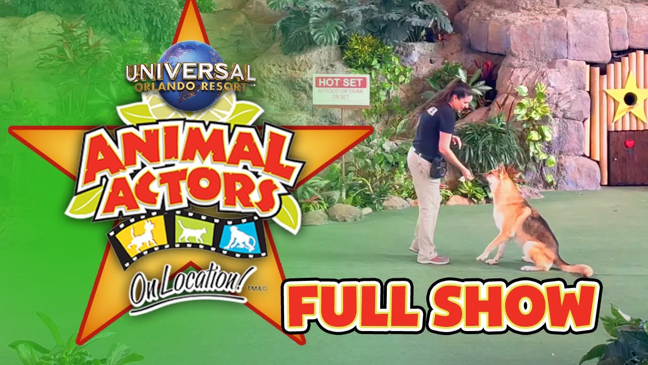 Animal Actors on Location! Full Show - Universal Studios Florida