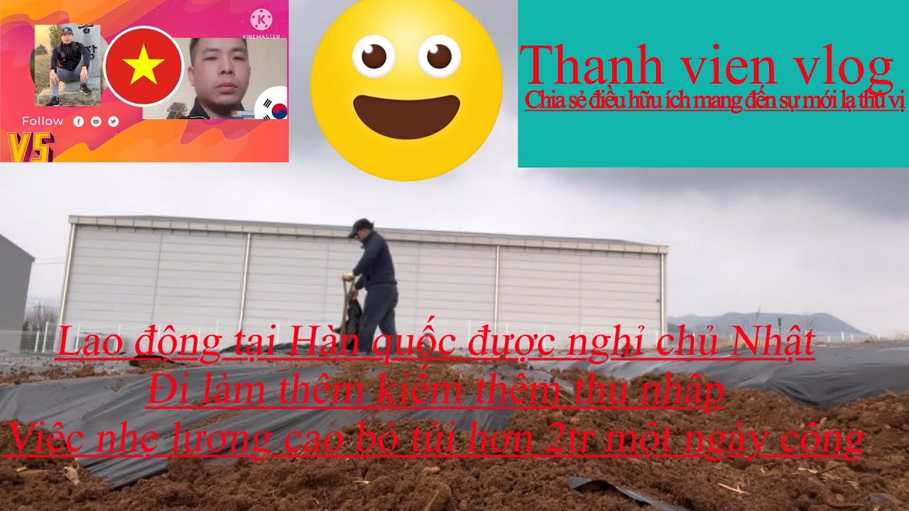 Ngày công cao tại Hàn quốc bỏ túi hơn 2trieu một ngày công cùng trải nghiệm trong video 