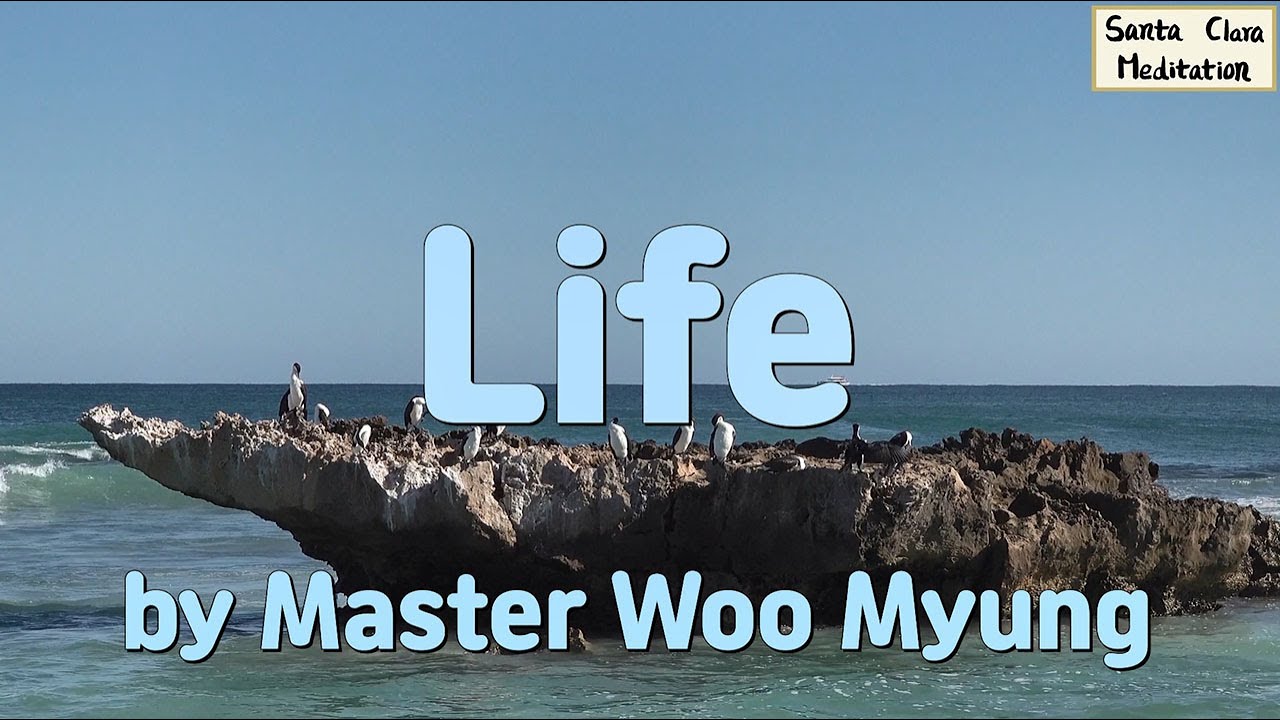 🌿 Life: Returning to the Origin of True Existence | Master Woo Myung | Santa Clara Meditation