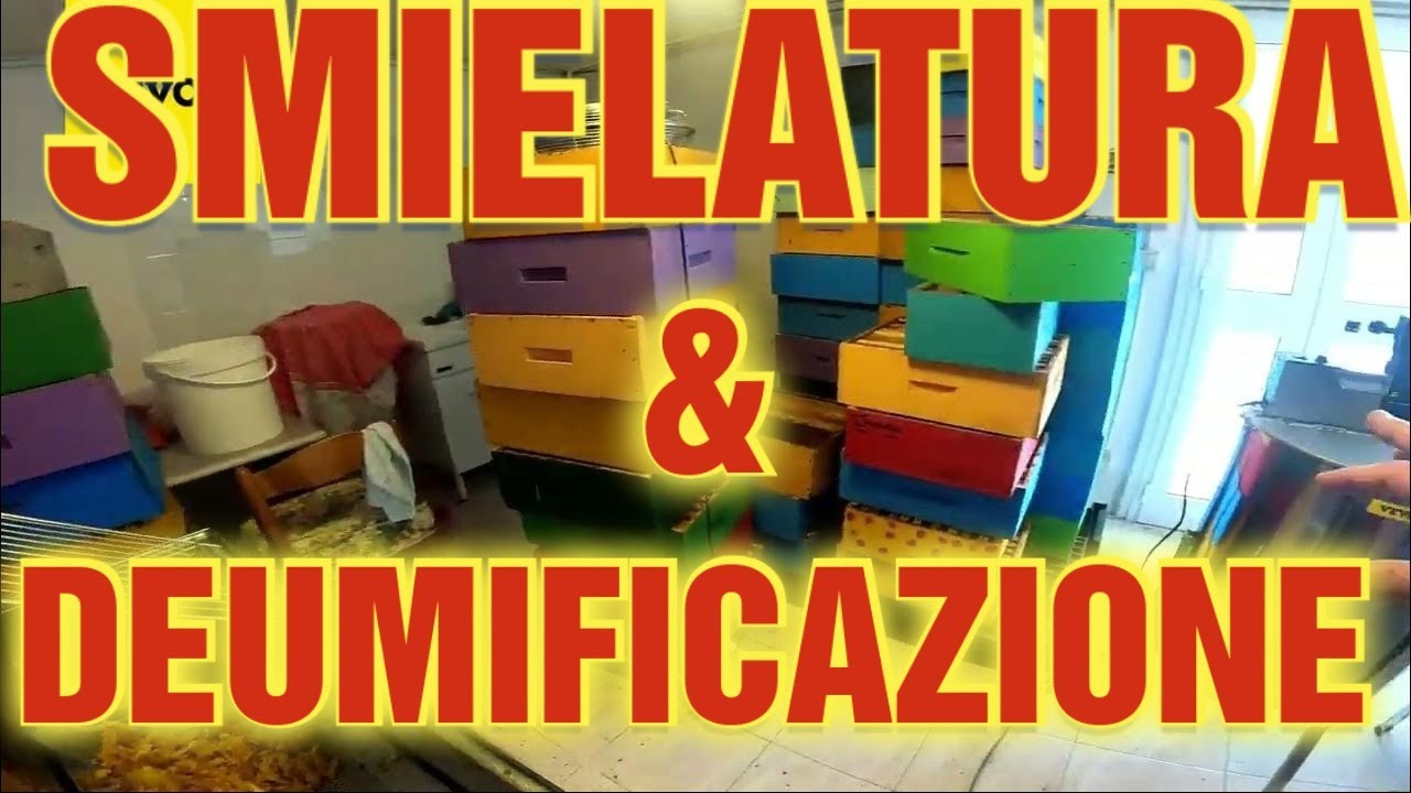 Apicoltura CD:  Smielatura, deumidificazione miele, lotto di produzione e tanto altro