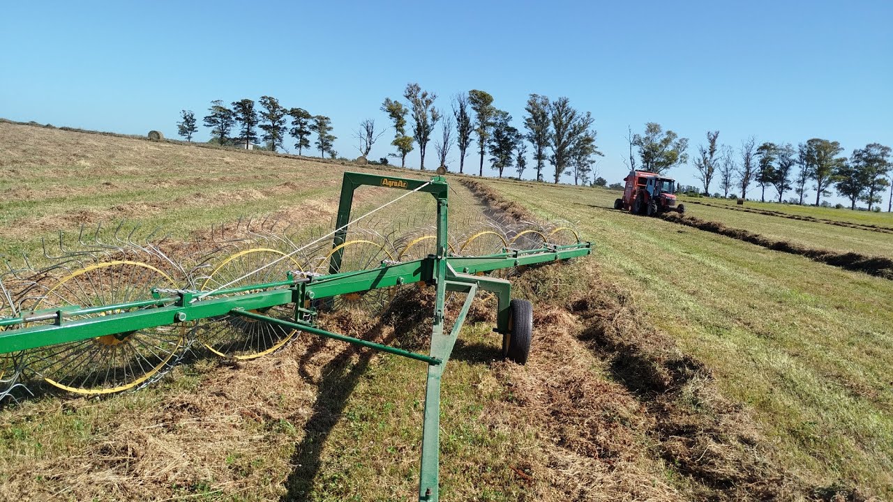 Cortando y haciendo rollos de pradera y un lote dos lotes de alfalfa!!