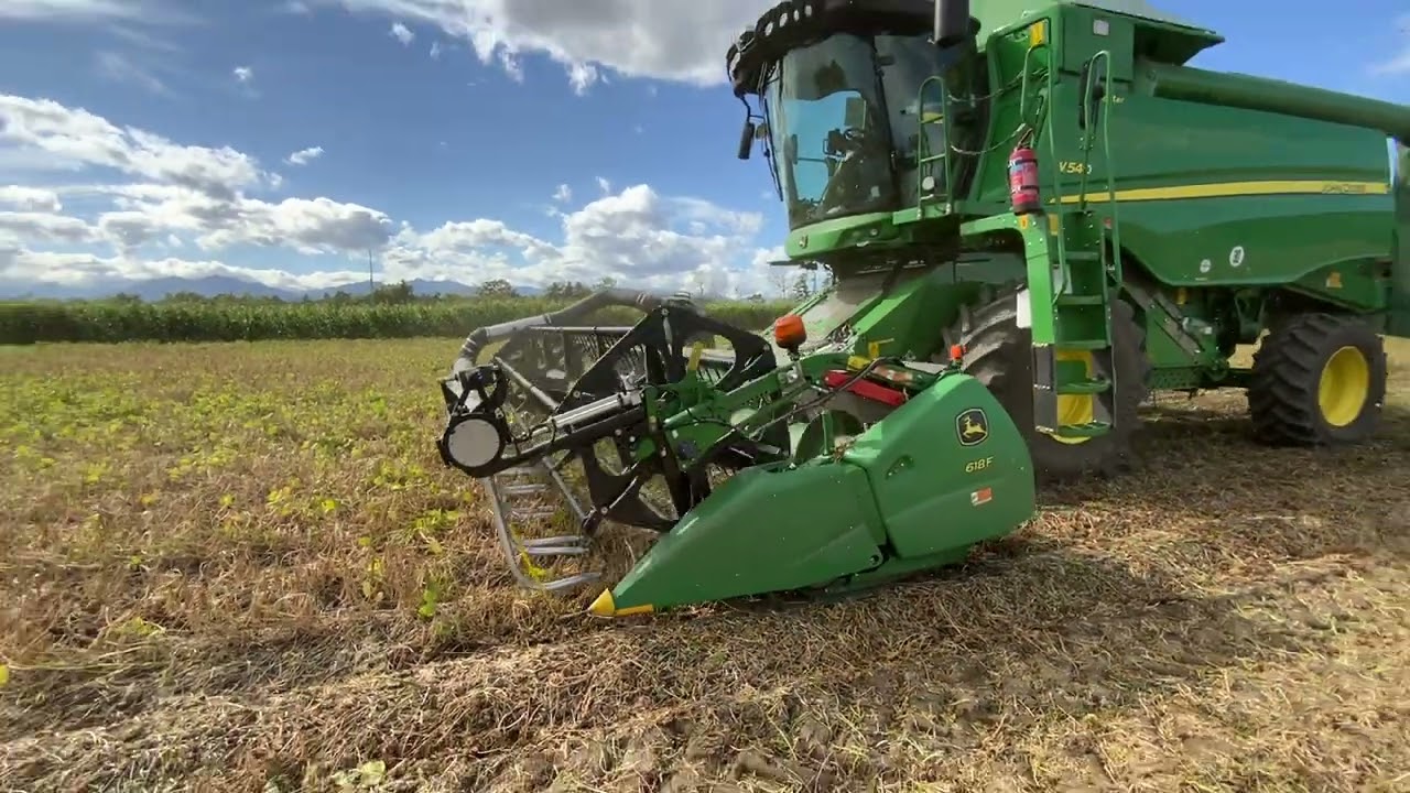 小豆・大豆収穫コンバイン収穫風景 芽室町 S様 01