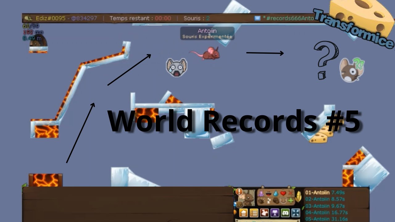 Transformice - World Records #5
