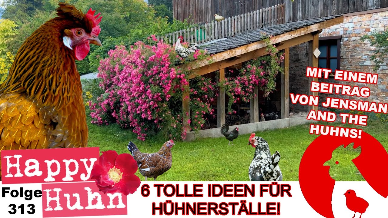 6 Ideen für Hühnerställe - Von Aufzuchtstall für Küken bis mobiler Stall für Hühner! HAPPY HUHN E313