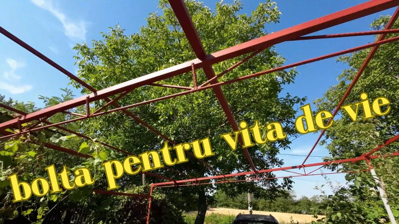 Bolta din fata casei