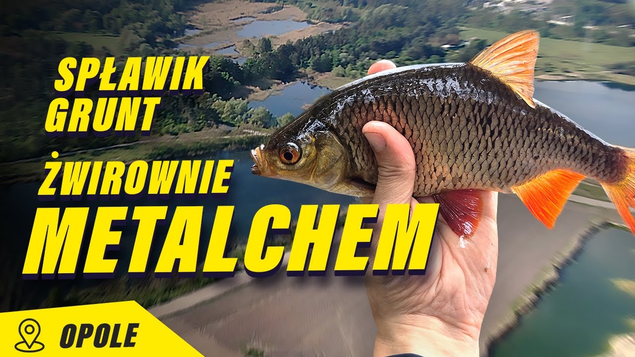 Szybki Wypad Żwirownie Metalchem Opole-Spławik oraz Grunt