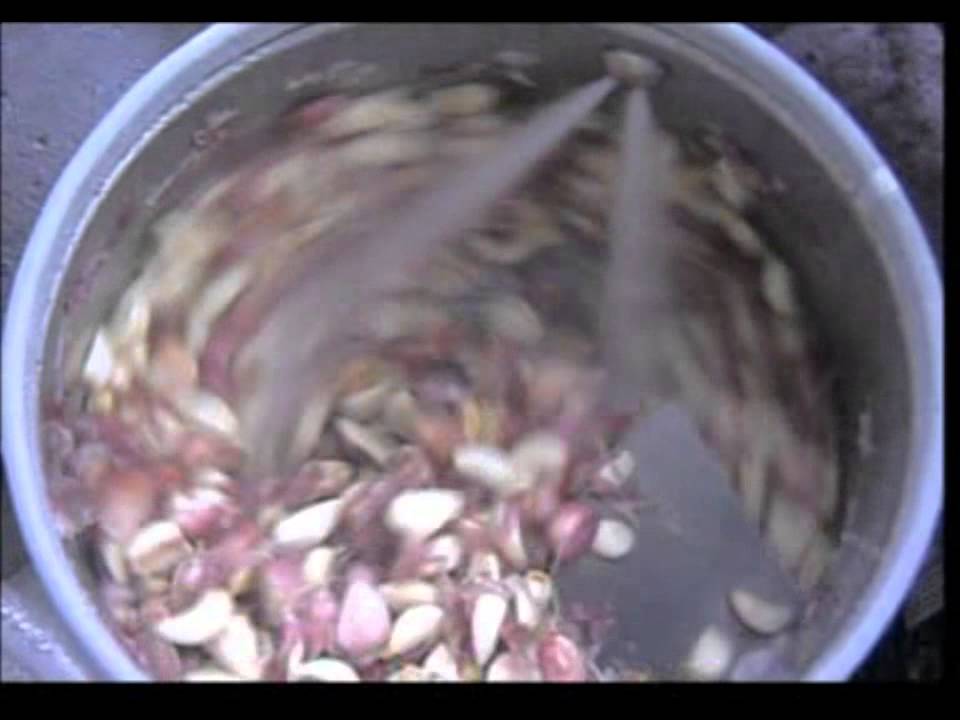 Nilma BOXER Garlic peeling machine