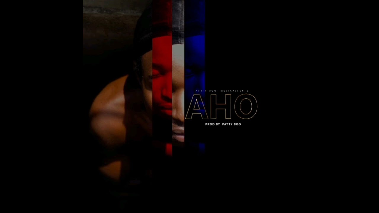 Pato Vibez_AHO_-_(Lyrics)_-_Pro (AP)