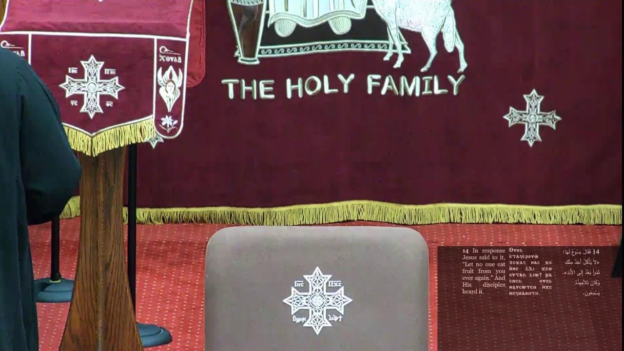 Wednesday Night Bible Study - Mark 11