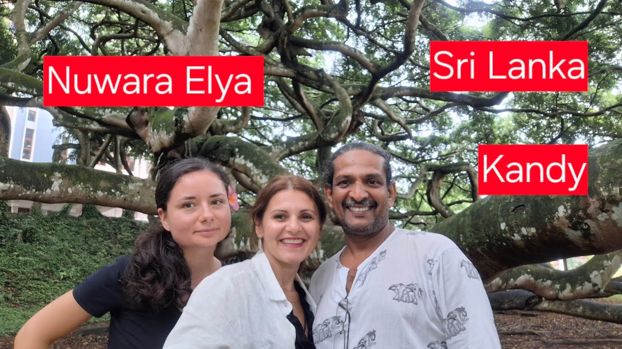 “Sri Lanka Hoogland: Van Kandy tot Ella 🌿🚂