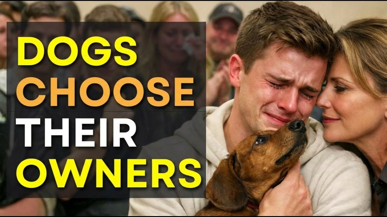 When a Dog Chooses No One… 😭 And Then This Moment Breaks Your Heart ❤️🐶
