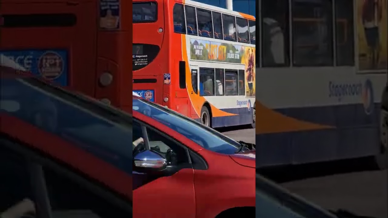 bus observations Hastings