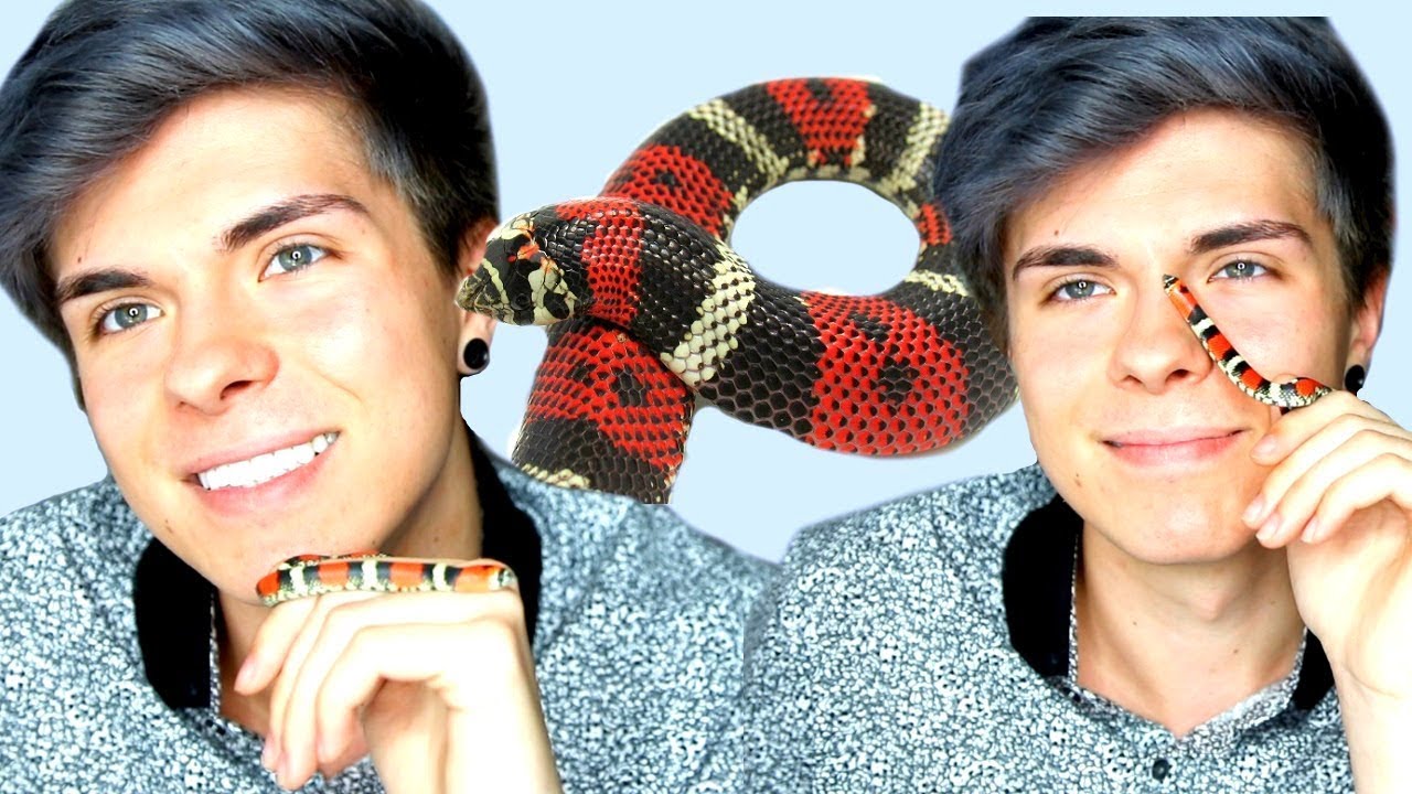 I Got a New Snake! TRICOLOR HOGNOSE